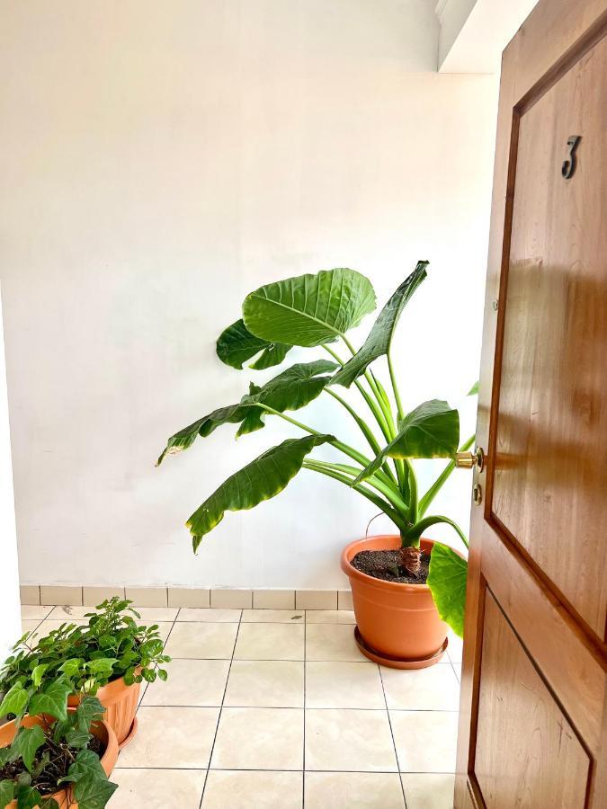 Urbano Hotell Tarija Eksteriør bilde